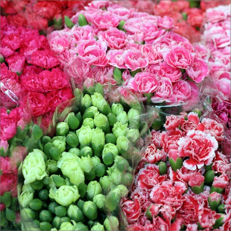 różnokolorowe bukiety kwiatów
